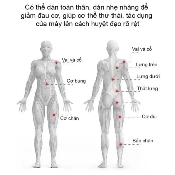 Massage EMS 2